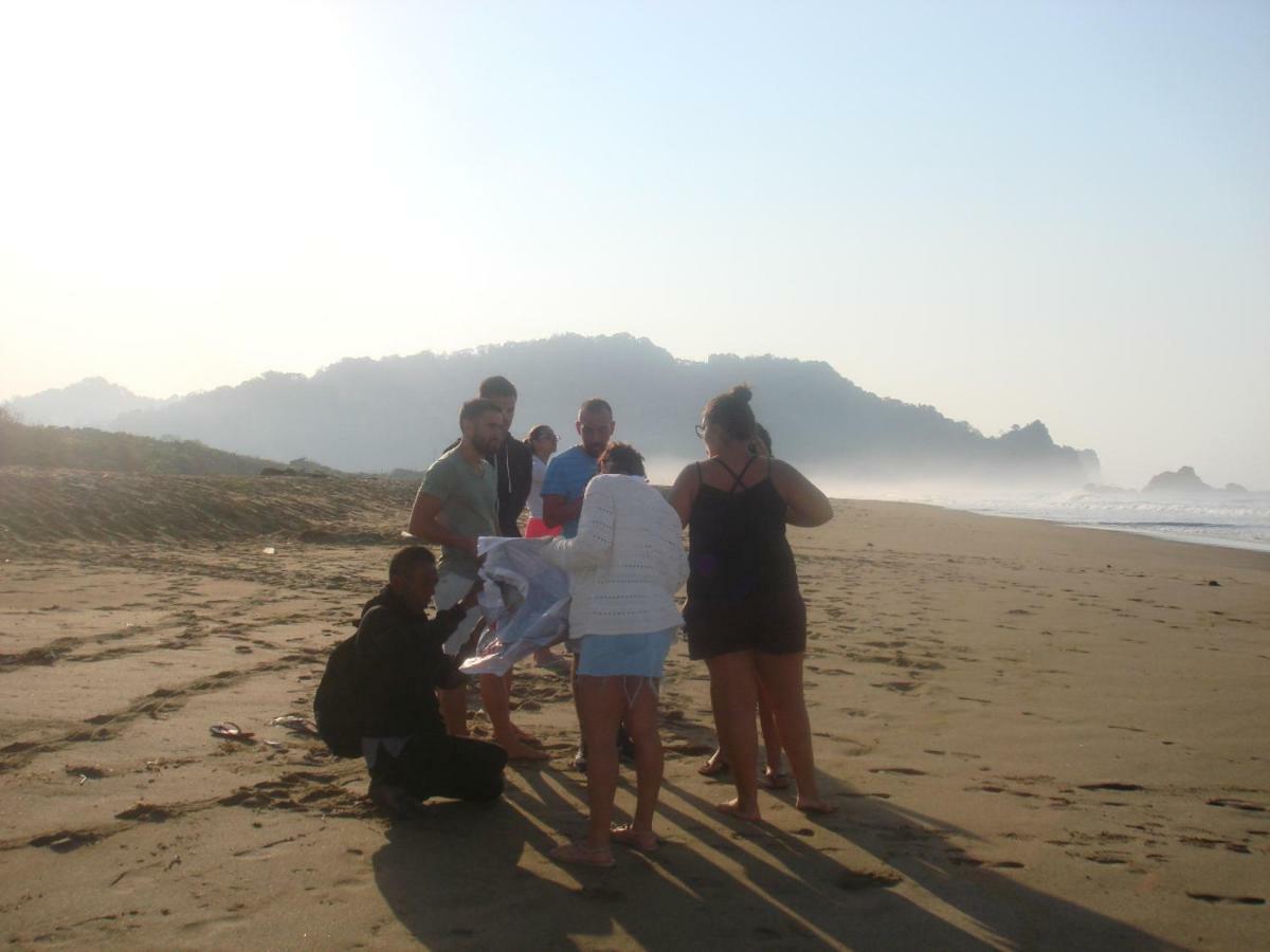 Thalia Guesthouse Ijen - Bromo & Sukamade Tour バニュワンギ エクステリア 写真